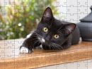 Free Jigsaw Puzzle Games - Online Jigsaw Puzzles | Puzzles avec Puzzle Photo Gratuit