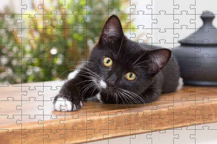 Free Jigsaw Puzzle Games – Online Jigsaw Puzzles | Puzzles avec Puzzle Photo Gratuit