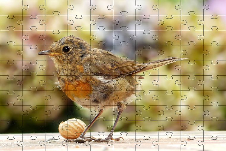 Free Jigsaw Puzzle Games – Online Jigsaw Puzzles | Puzzles encequiconcerne Puzzle Photo Gratuit