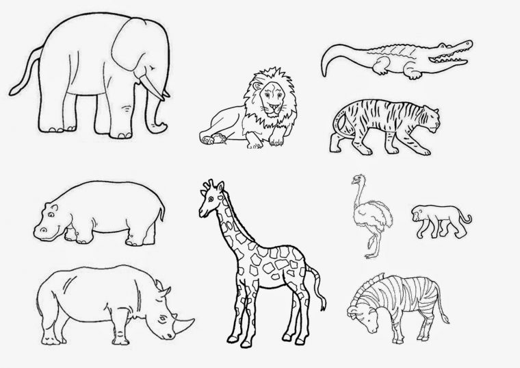 Gabarit Animaux Savane – Recherche Google | Coloriage tout Animaux A Dessiner Imprimer