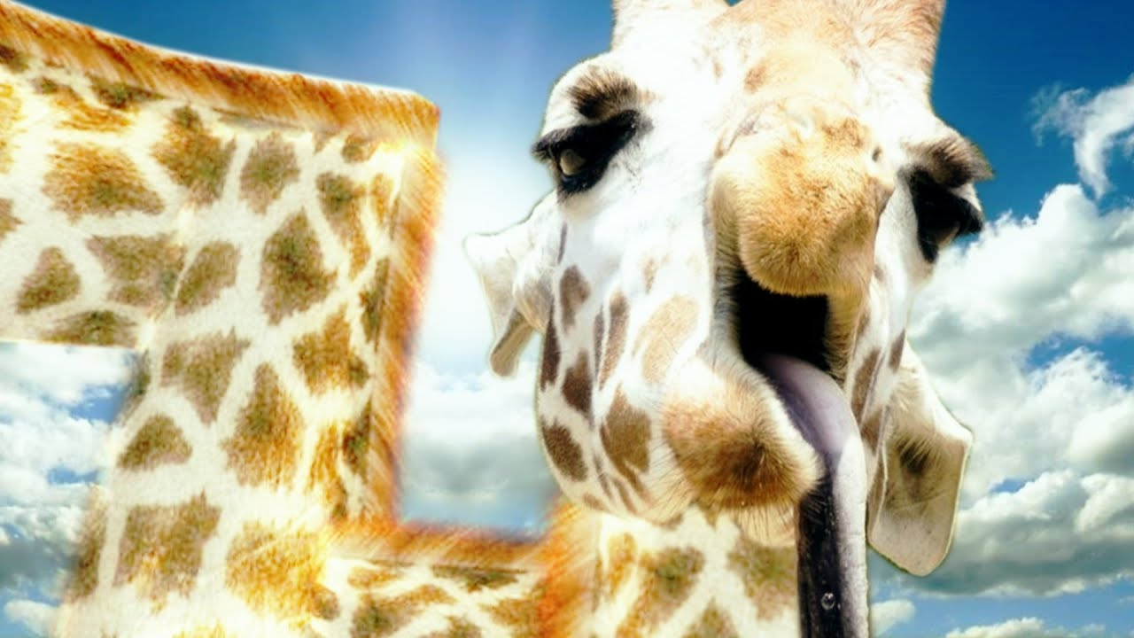 Girafe Senpai ! (Compilation De Jeux) avec Jeux De Girafe Gratuit 