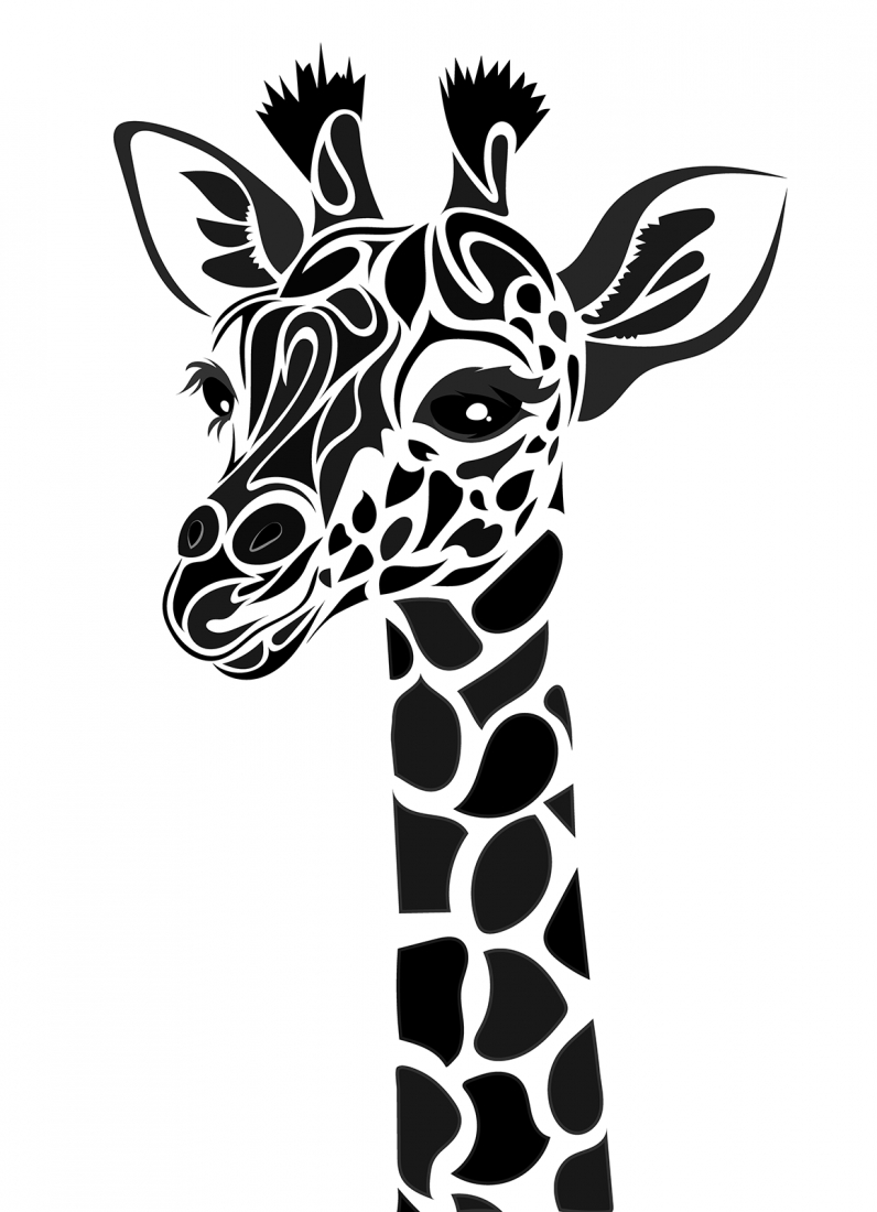 Giraffe … | Girafe Dessin, Dessin Fantastique, Dessin dedans Dessin Noir Et Blanc Animaux