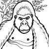 Gorille #11 (Animaux) – Coloriages À Imprimer avec Coloriage Gorille