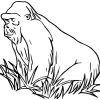 Gorille #64 (Animaux) – Coloriages À Imprimer destiné Coloriage Gorille