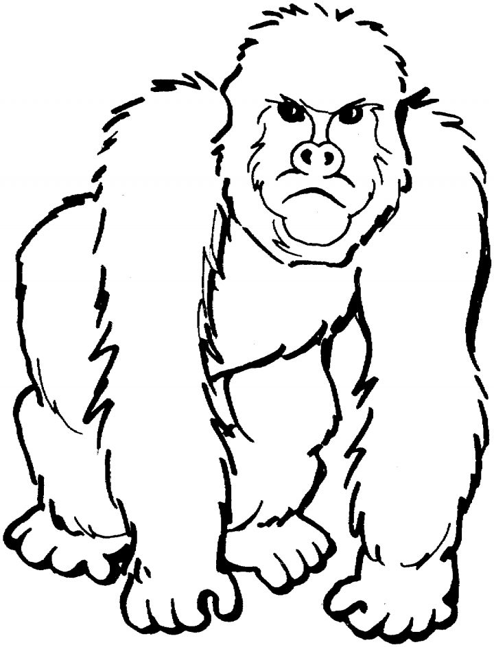 Gorille (Animaux) – Coloriages À Imprimer pour Coloriage Gorille