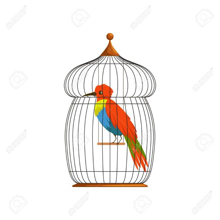 Grand Oiseau Avec De Longues Panaches Brillants Vert, Bleu Et Rouge.  Personnage De Dessin Animé D'un Animal Tropical Dans Une Vieille Cage  Métallique. dedans Dessin De Cage D Oiseau