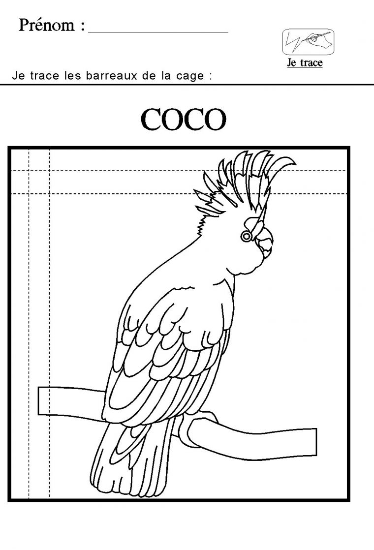 Graphisme En Maternelle : Tracer Des Lignes Horizontales Et concernant Quadrillage Maternelle Graphisme