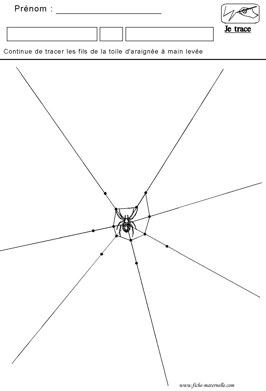 Graphisme Tracer Des Lines De La Toile D&amp;#039;araignée pour Dessiner Une Araignee 