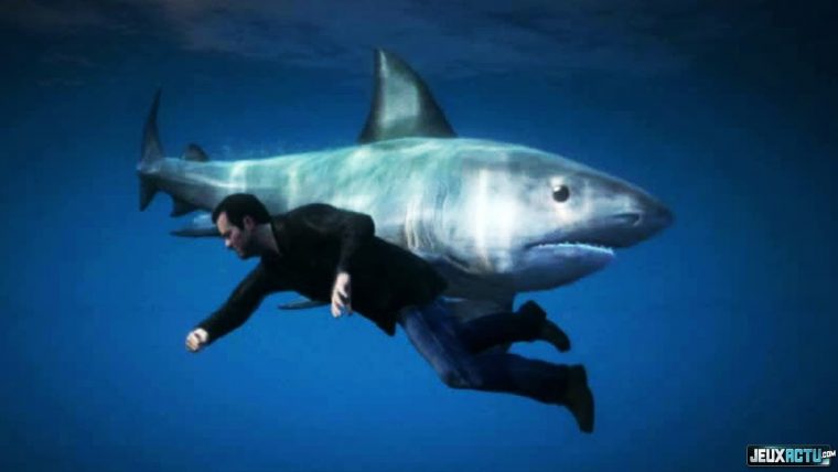 Gta 5 – Guide Pour Trouver Le Requin ! avec Requin Jeux Video