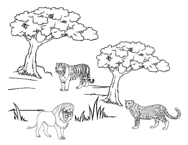 Guépard #40 (Animaux) – Coloriages À Imprimer tout Guépard Dessin