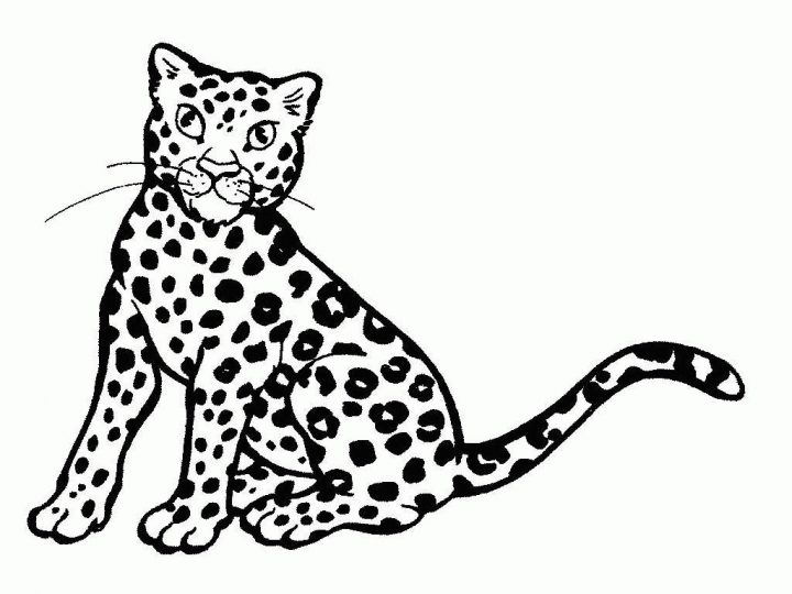 Guépard #6 (Animaux) – Coloriages À Imprimer destiné Guépard Dessin