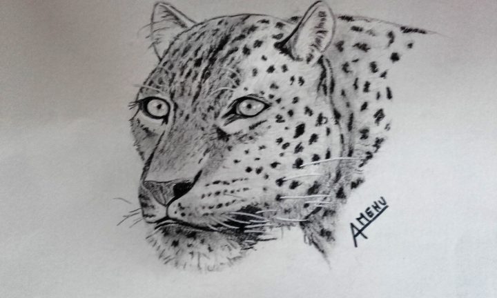 Guépard ( Pastel Sec ) | Dessin Promarker, Pastel Sec, Dessin serapportantà Guépard Dessin