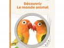 Guide Zoom Découvrir Le Monde Animal Grande Section - Nathan destiné Jeux Educatif Gs