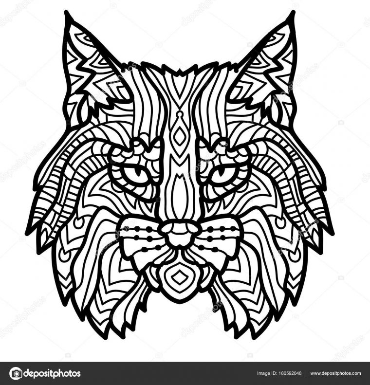 Hand Drawn Lynx Head Animal Isolated. Doodle Line Graphic avec Dessin Noir Et Blanc Animaux