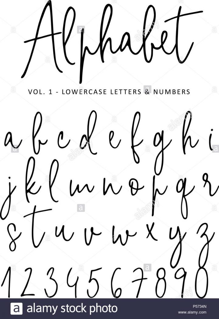 Hand Drawn Vector Alphabet. Modern Monoline Signature Script serapportantà Alphabet En Script