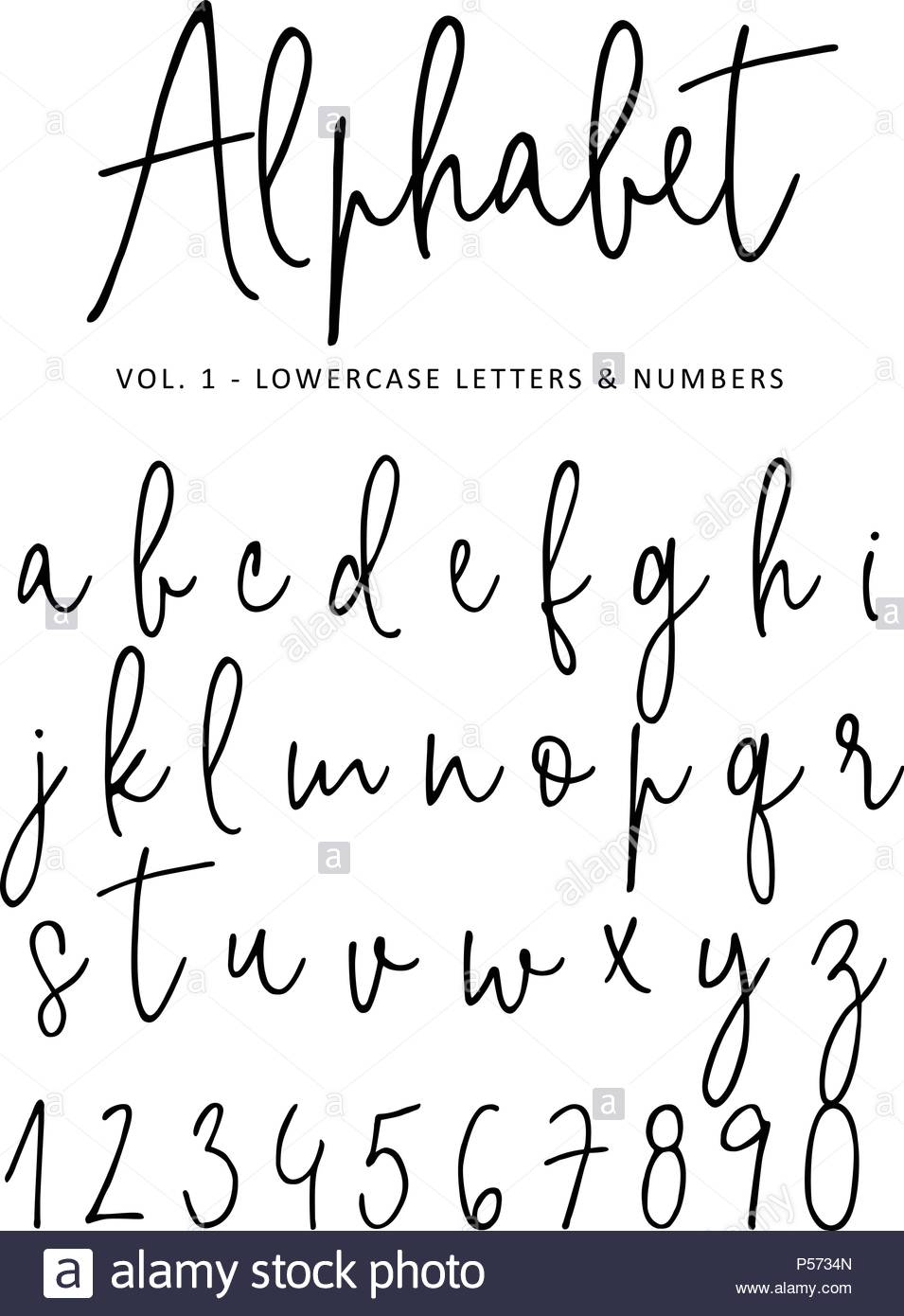 Hand Drawn Vector Alphabet. Modern Monoline Signature Script serapportantà Alphabet En Script 