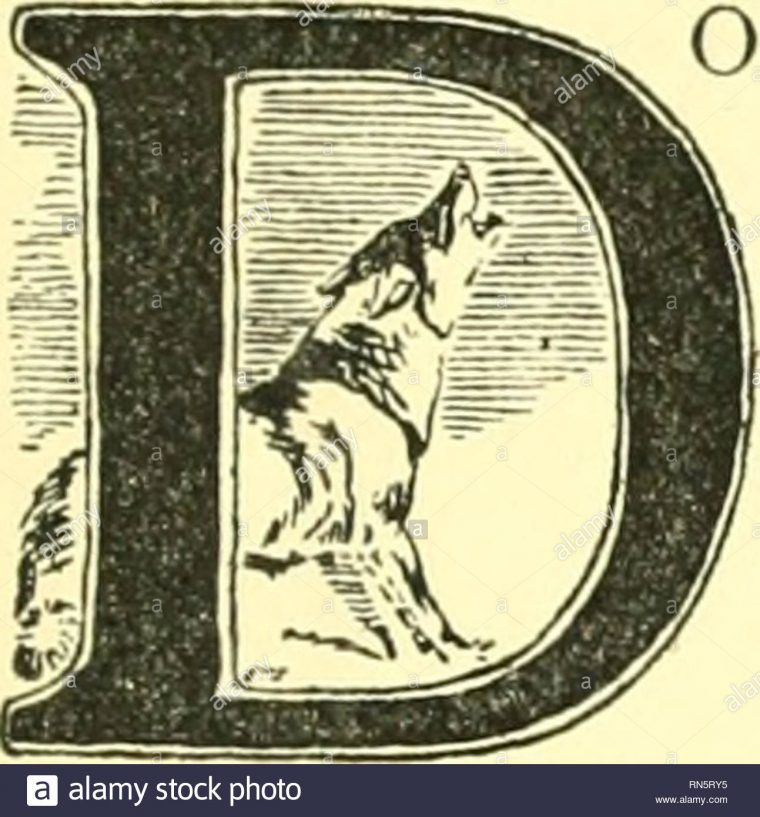 Héros Des Animaux ; Être L'histoire D'un Chat, Un Chien, Un à Jeu Cri Des Animaux