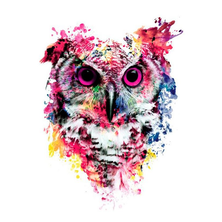 Hibou Couleur à Hibou Dessin Couleur