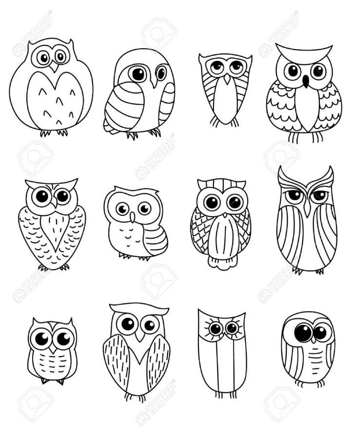 Hiboux De Dessin Animé Et Jeunes Hiboux Oiseaux Isolé Sur Fond Blanc tout Dessiner Un Hibou