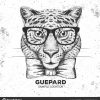 Hipster Animal Guepard. Hand Drawing Muzzle Of Guepard dedans Guépard Dessin