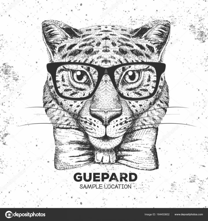 Hipster Animal Guepard. Hand Drawing Muzzle Of Guepard dedans Guépard Dessin