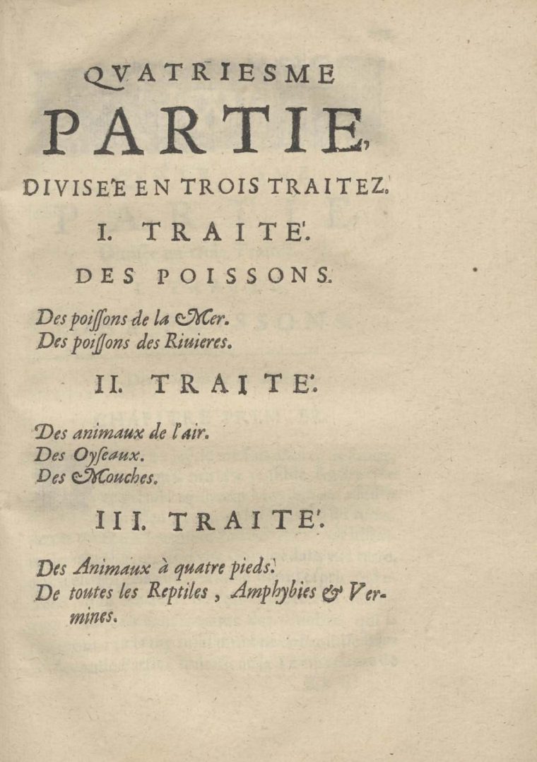 Histoire Générale Des Isles De Saint-Christophe, De La tout Prohibé Mots Fléchés