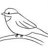 How To Draw A Bird Step By Step Easy With Pictures | Dessin à Dessin D Oiseau Simple