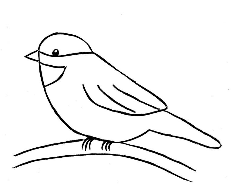 Dessin D Oiseau Simple - PrimaNYC.com