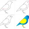 How To Draw A Bird Step By Step Easy With Pictures | Dessin destiné Dessin D Oiseau Simple