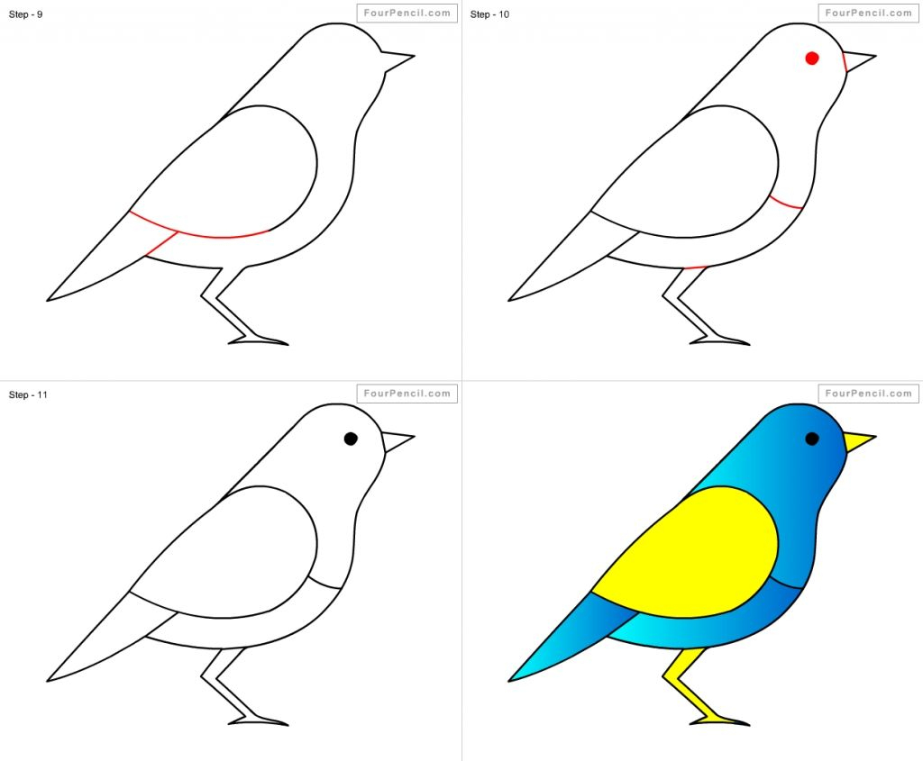 How To Draw A Bird Step By Step Easy With Pictures 