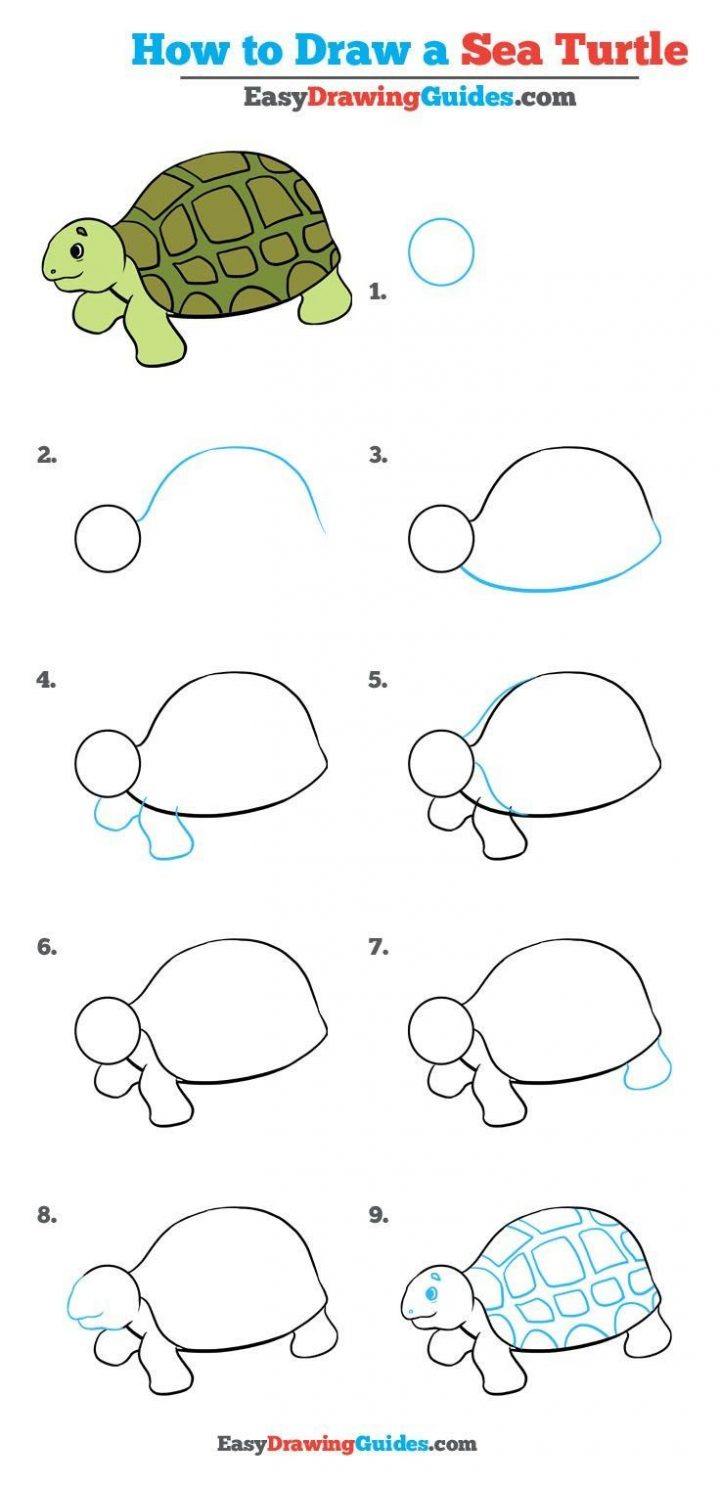 How To Draw A Sea Turtle – Really Easy Drawing Tutorial dedans Dessiner Une Tortue