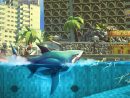 Hungry Shark World - Test Nintendo Switch | Insert Coin tout Requin Jeux Video