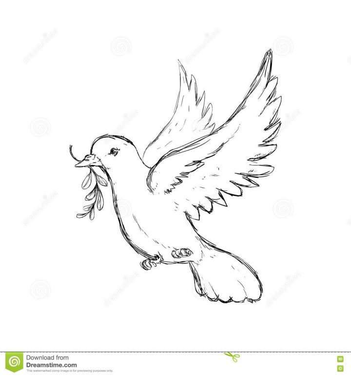 Icône De Colombe Conception D'oiseau Et De Paix Dessin De à Dessin D Oiseau Simple