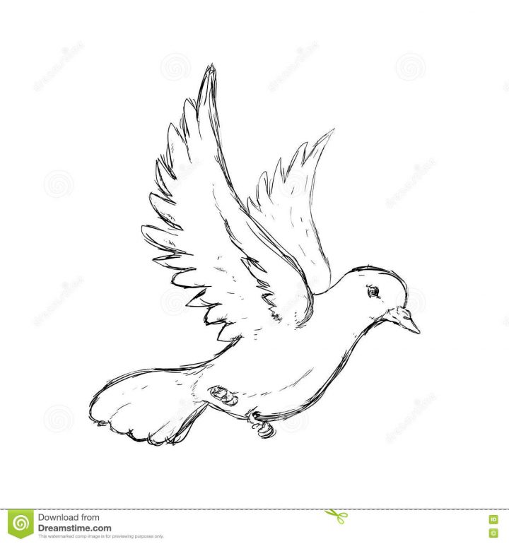 Icône De Colombe Conception D'oiseau Et De Paix Dessin De encequiconcerne Dessin D Oiseau Simple