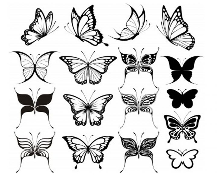 Idée Uage Papillon Dessin – Modèle De Tattoo #351563 intérieur Papillon À Dessiner