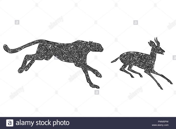 Illustration D'un Guépard Chasse Une Gazelle, Noir Et Blanc serapportantà Guépard Dessin