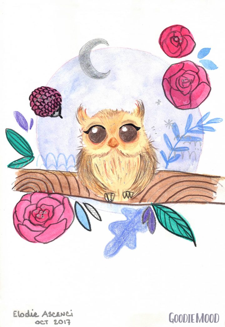 Illustration D'un Hiboux Chouette À L'aquarelle Et Aux pour Hibou Dessin Couleur