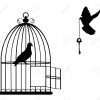 Illustration D'une Cage D'oiseau Ouvert Avec Des Colombes Volant Avec Une  Clé à Dessin De Cage D Oiseau