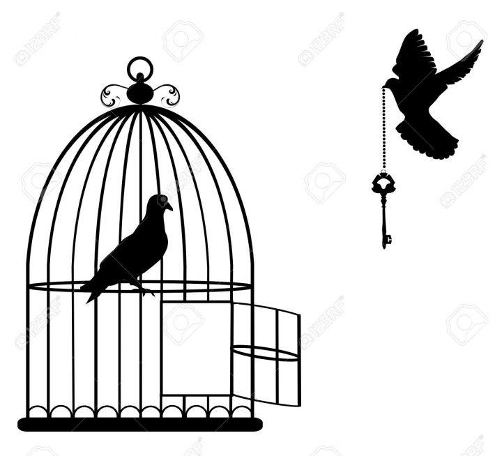 Illustration D'une Cage D'oiseau Ouvert Avec Des Colombes Volant Avec Une  Clé à Dessin De Cage D Oiseau