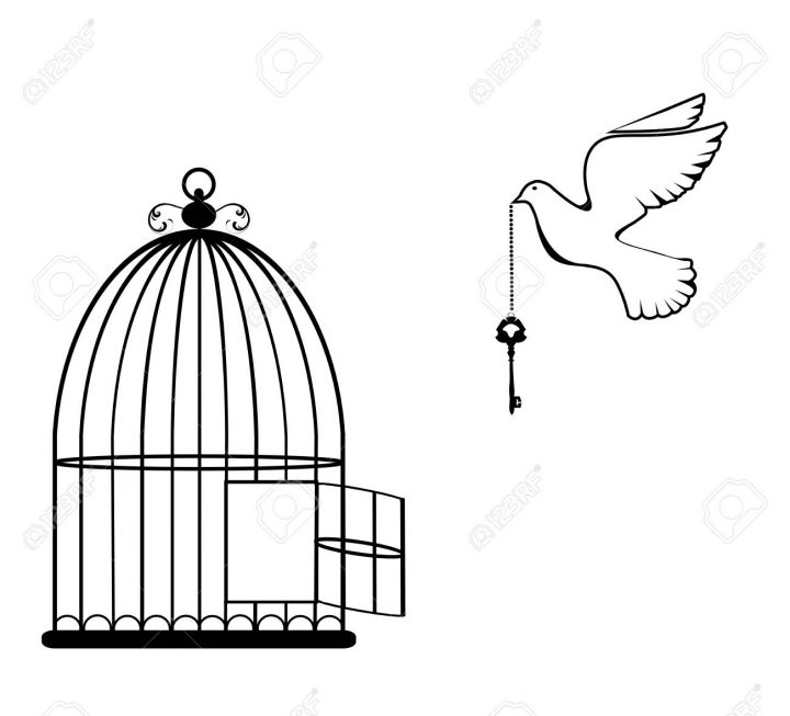 Illustration Vectorielle D'une Cage À Oiseaux Ouverte Avec Colombe Et Clé serapportantà Dessin De Cage D Oiseau