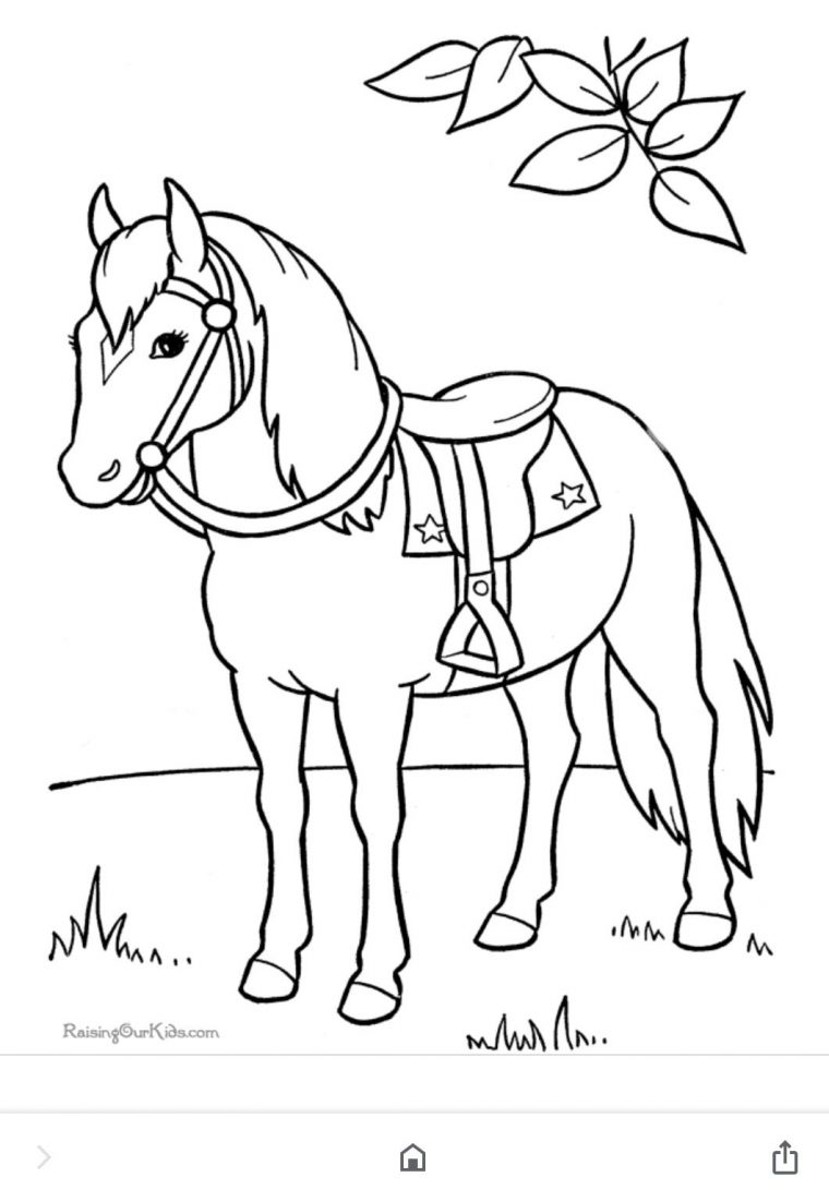 Image Coloriage Cheval De Louise St-Louis Du Tableau à Jeux De Coloriage De Cheval