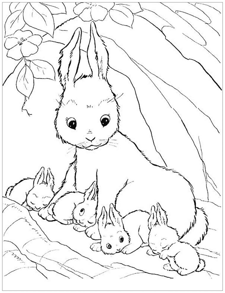 Image De Lapin À Imprimer Et Colorier – Coloriage De Lapins serapportantà Dessin De Lapin A Imprimer