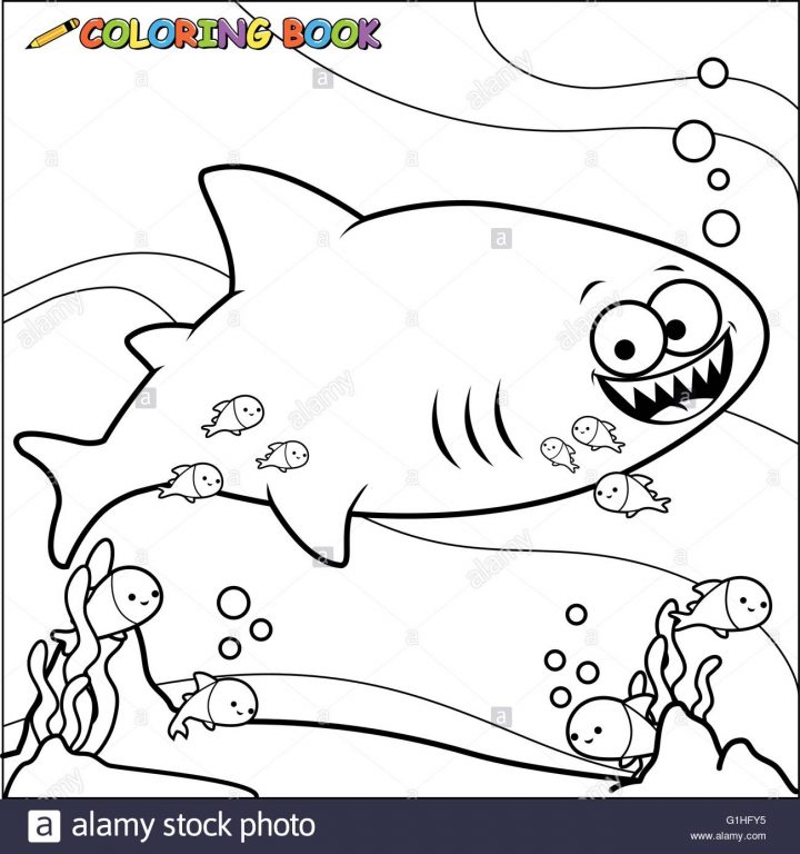 Image En Noir Et Blanc Indiquant D'un Requin Et Des Poissons dedans Coloriage Requin Blanc Imprimer