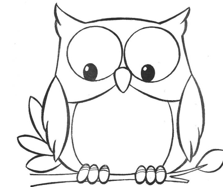 Image Par Limat Lauriane Sur Idée Cadeau | Coloriage Hibou destiné Hibou A Imprimer