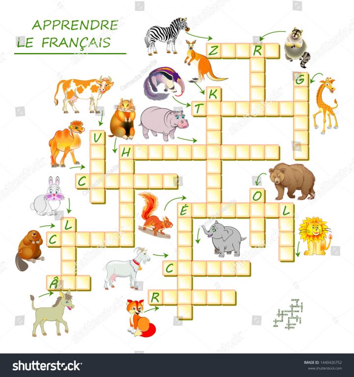 Image Vectorielle De Stock De Apprenez Le Français. Jeu De encequiconcerne Mots Fleches Pour Enfants