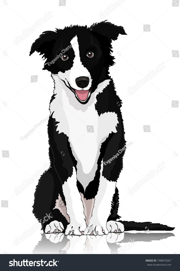 Image Vectorielle De Stock De Dessin Vectoriel De Chien destiné Dessin Noir Et Blanc Animaux