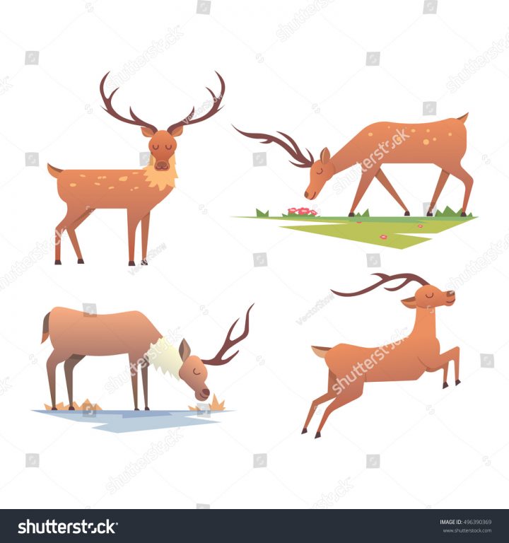 Image Vectorielle De Stock De Joli Dessin Animé De Cerfs avec Caribou Dessin