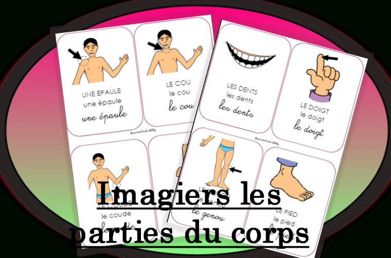 Imagier : Les Parties Du Corps | Parties Du Corps Humain concernant Le Corps Humain En Maternelle