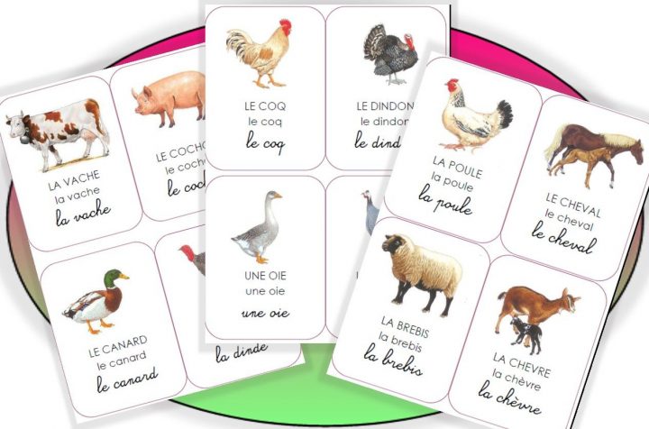 Imagiers La Suite | Matériaux De Montessori, Imagier tout Jeux D Animaux De La Ferme