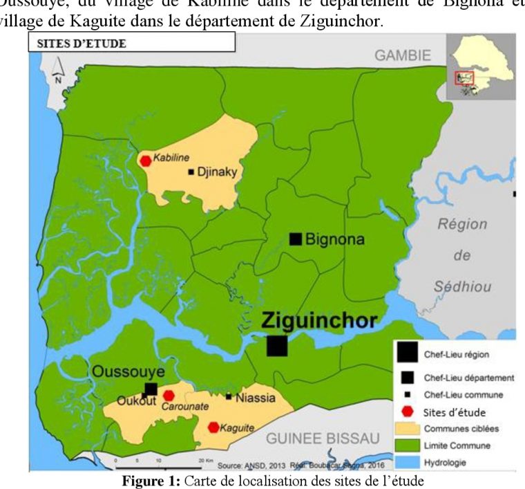 Importance Socioéconomique De Elaeis Guineensis Jacq tout Carte Region Departement